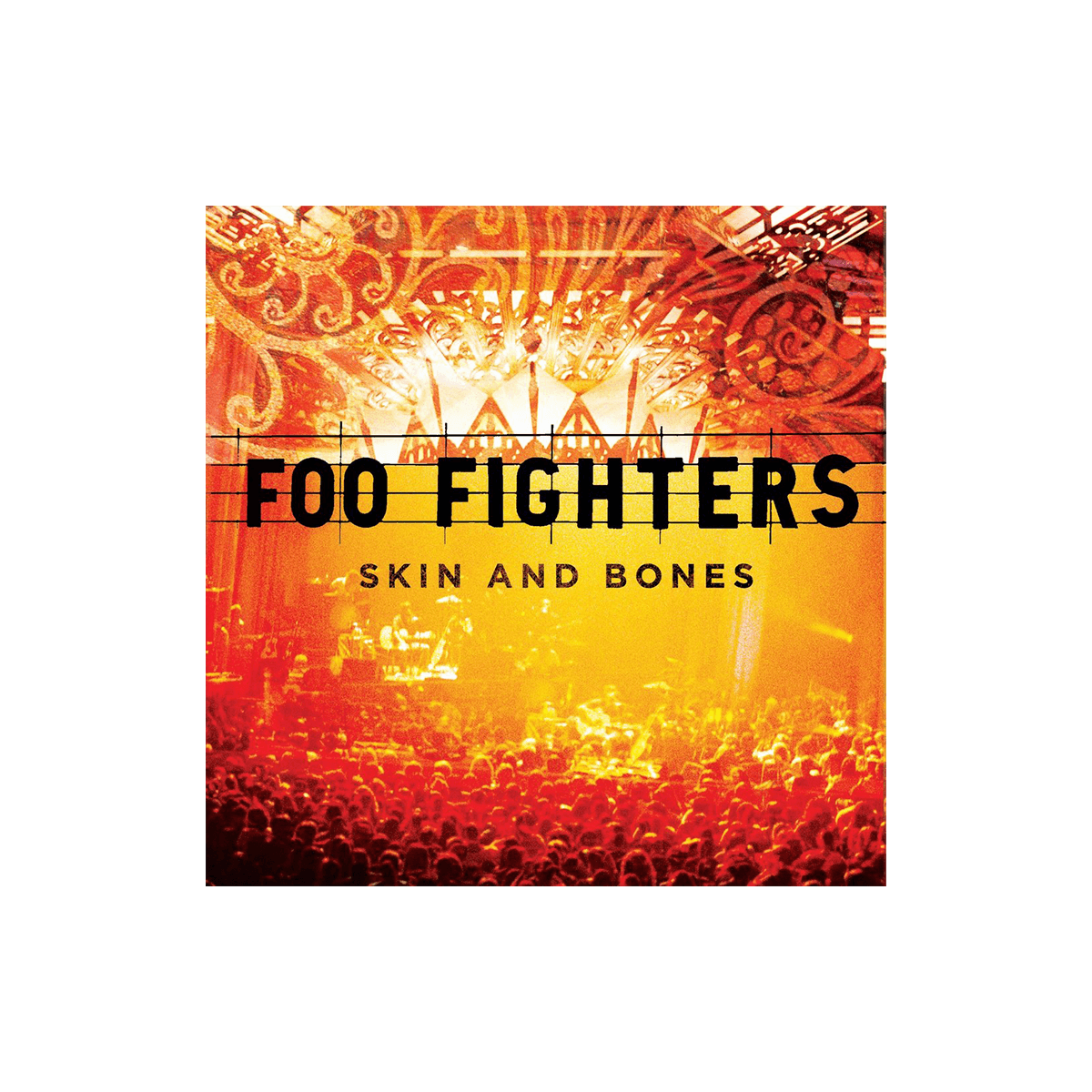 Skin & Bones Vinyl-Foo Fighters